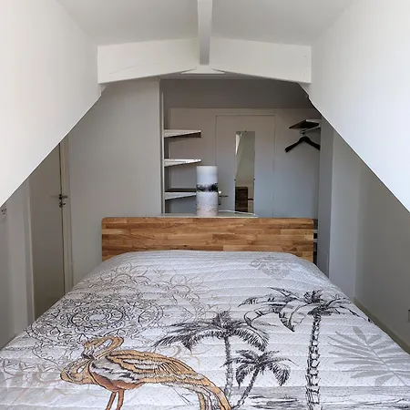 Centre: Beau Duplex T3 3* Avec Balcon, Parking, A Deux Pas De La Et Des Commerces - Fr-1-420-107